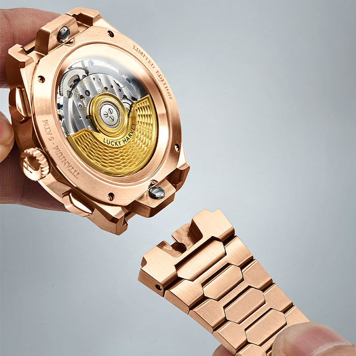 Sound Of Nature Muonionalusta Meteorite Dial Rose Gold Titanium Chiming Limited Edition Automatic Watch
